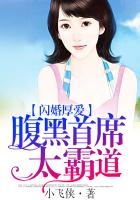闪婚厚爱：腹黑首席太霸道章节列表