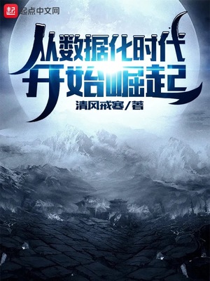 从数据化时代开始崛起章节列表