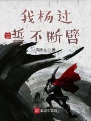 我杨过誓不断臂章节列表