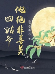 四姑爷他绝非善类章节列表