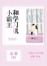 小霸王和学习机章节列表