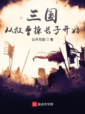 三国从救曹操长子开始章节列表