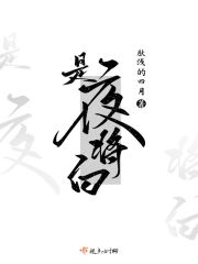 是夜将白章节列表