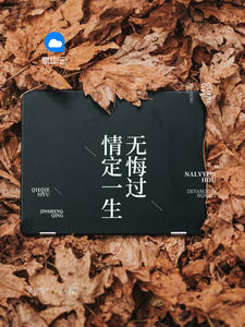 一胎二宝沈蔓歌大结局章节列表