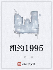 纽约1995章节列表