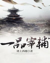 一品宰辅章节列表