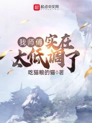 我师傅实在太低调了章节列表