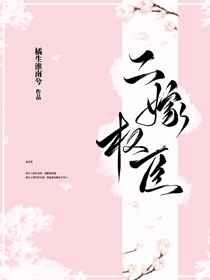 二嫁权臣章节列表