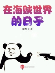 在海贼世界的日子章节列表