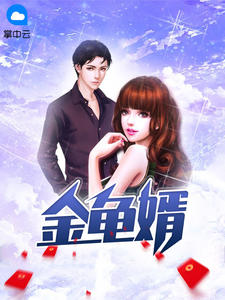 金龟婿陆羽巫清君章节列表