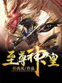 至尊神皇章节列表