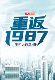 重返1987章节列表
