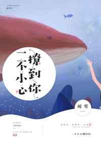 一不小心撩到你章节列表