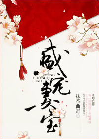 盛宠妻宝章节列表