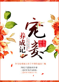 宠妾养成记章节列表