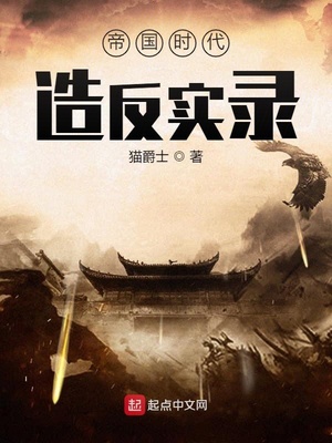 帝国时代造反实录章节列表
