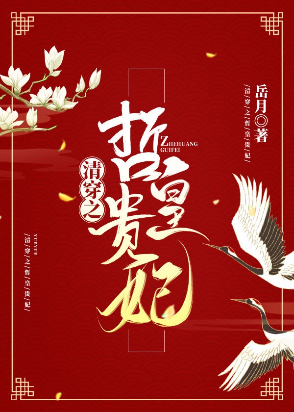 清穿之哲皇贵妃章节列表