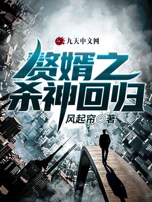 赘婿之杀神回归章节列表