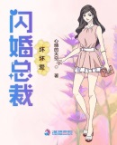 闪婚总裁坏坏爱章节列表