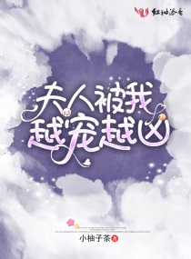 夫人被我越宠越凶章节列表