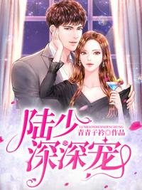 陆少深深宠章节列表