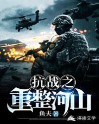 抗战之重整河山章节列表