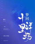 梦回十里洋场章节列表