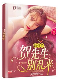 贺先生别乱来章节列表