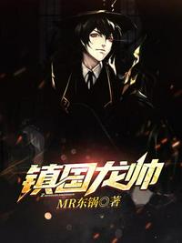 镇国龙帅章节列表