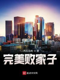 完美败家子章节列表