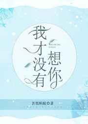 我才没有想你章节列表