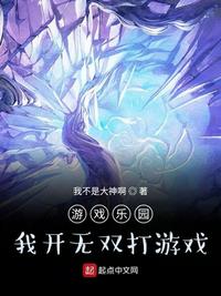 游戏乐园：我开无双打游戏章节列表