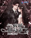 病娇他最乖了章节列表