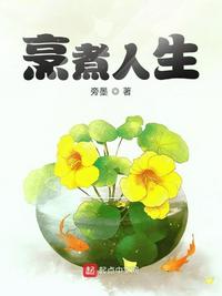 烹煮人生章节列表