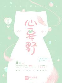 心要野章节列表