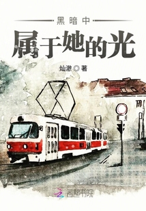 黑暗中属于她的光章节列表