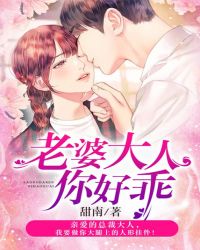 老婆大人你好乖章节列表