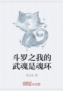 斗罗之我的武魂是魂环章节列表