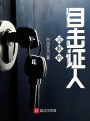 沉默的目击证人章节列表