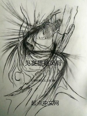 见英雄略风骨章节列表