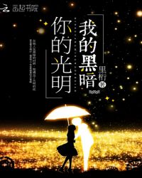 你的光明，我的黑暗章节列表