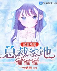 前妻难追：总裁爹地缠缠缠章节列表