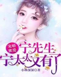 宠婚蜜爱：宁先生，宁太太又有了章节列表