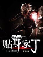 贴身家丁章节列表