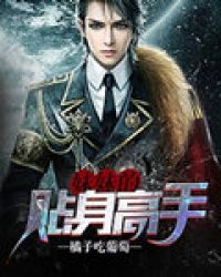 妹妹的贴身高手章节列表