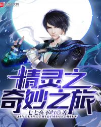 精灵之奇妙之旅章节列表