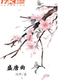 盛唐曲章节列表