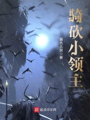 骑砍小领主章节列表