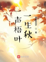 一声梧叶一生秋章节列表