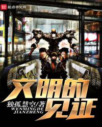 文明的见证章节列表